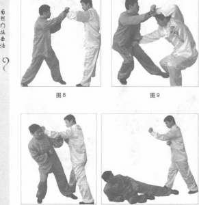 圖片113