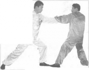 圖片129