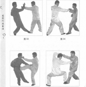 圖片131