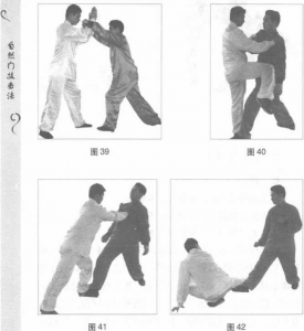 圖片133