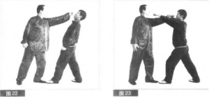 圖片15