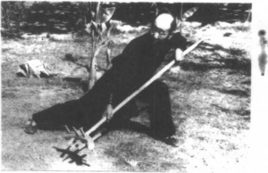 圖片5