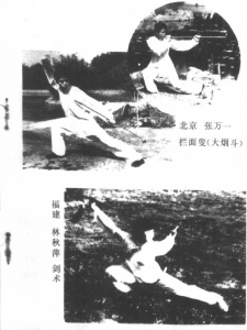 圖片7