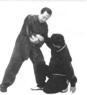圖片28