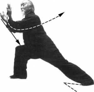 圖片16