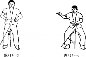 圖片5