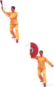 圖片5