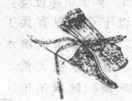 圖片8