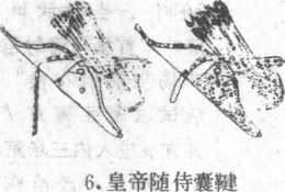 圖片9
