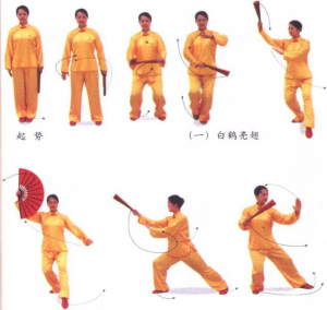 圖片29