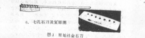 圖片46
