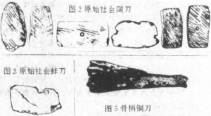 圖片47