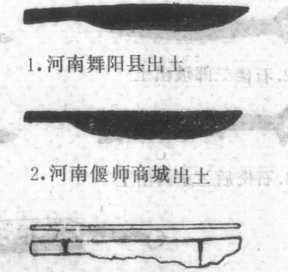 圖片48