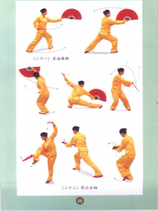 圖片15