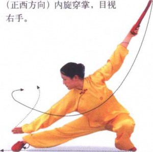 圖片30