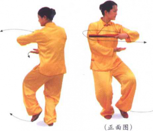 圖片31