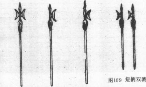 圖片82