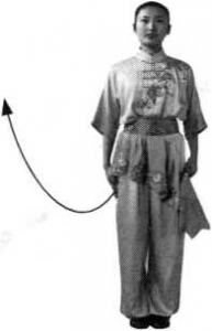 圖片1