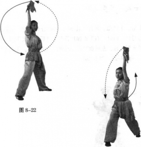 圖片17