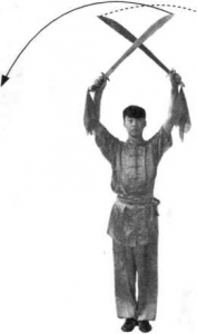 圖片147