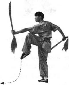 圖片197